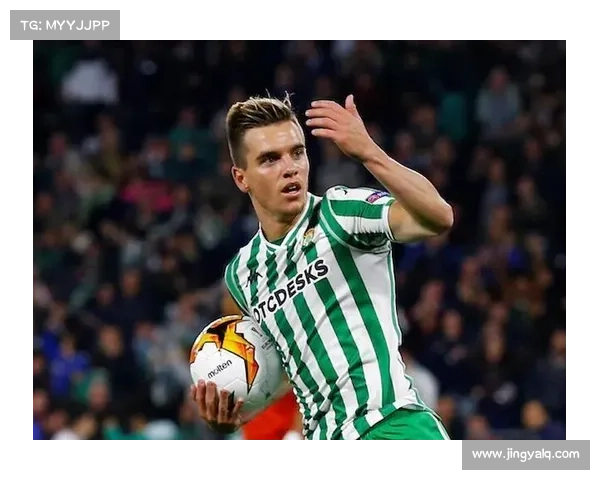 如何全面评估洛塞尔索在场上的表现与贡献